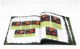 專業(yè)定制桌游指導(dǎo)書、各種產(chǎn)品說明書