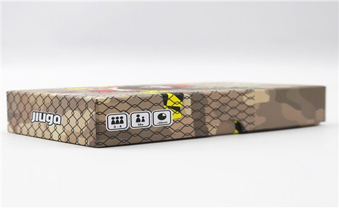 專(zhuān)業(yè)定制兒童益智桌游